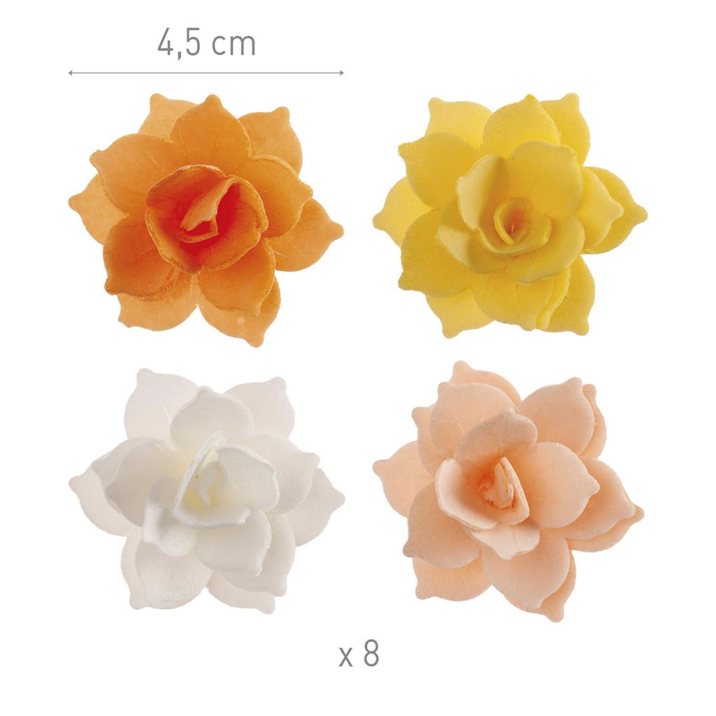 OBLATEN WATER LILY ORANGE