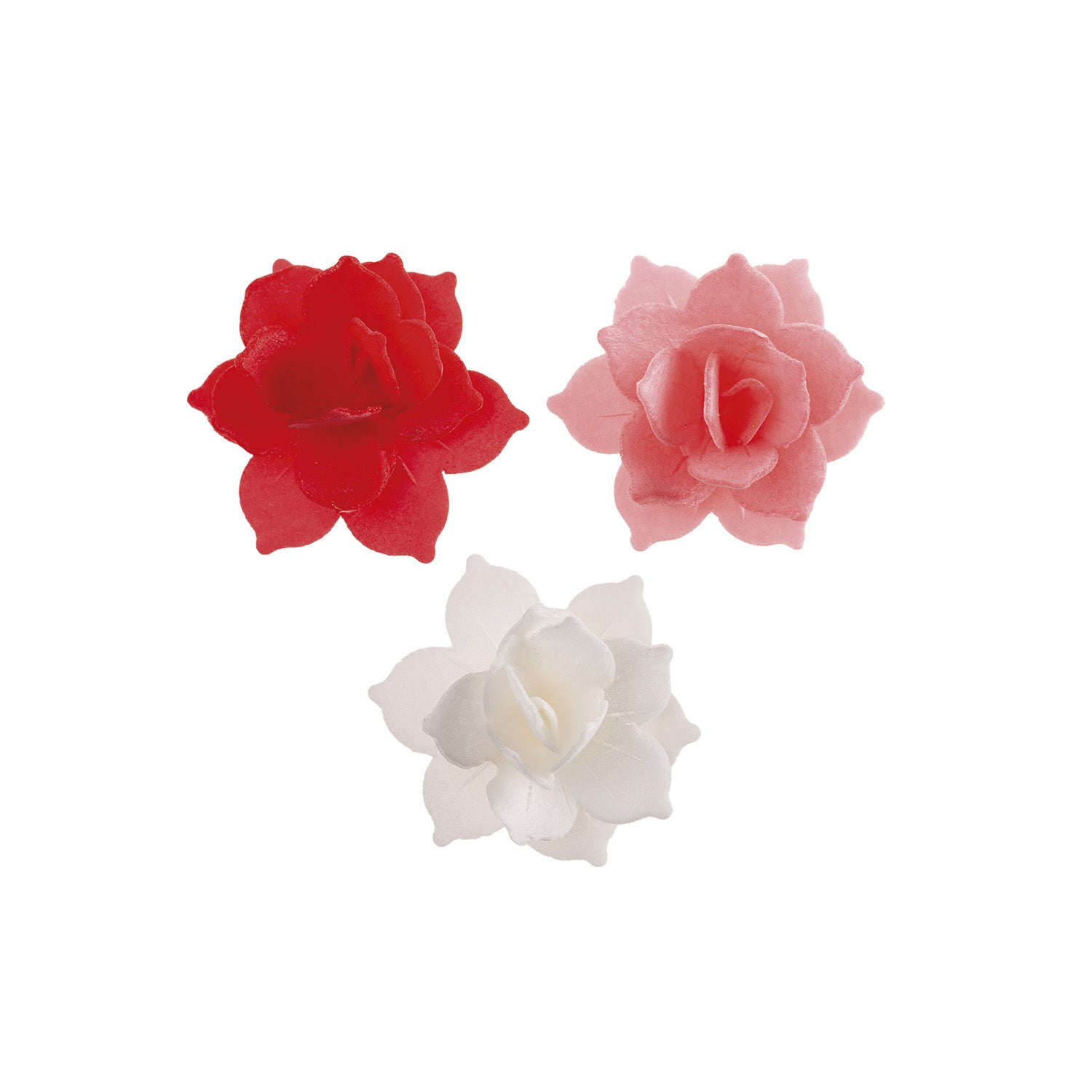 OBLATEN WATER LILY PINK