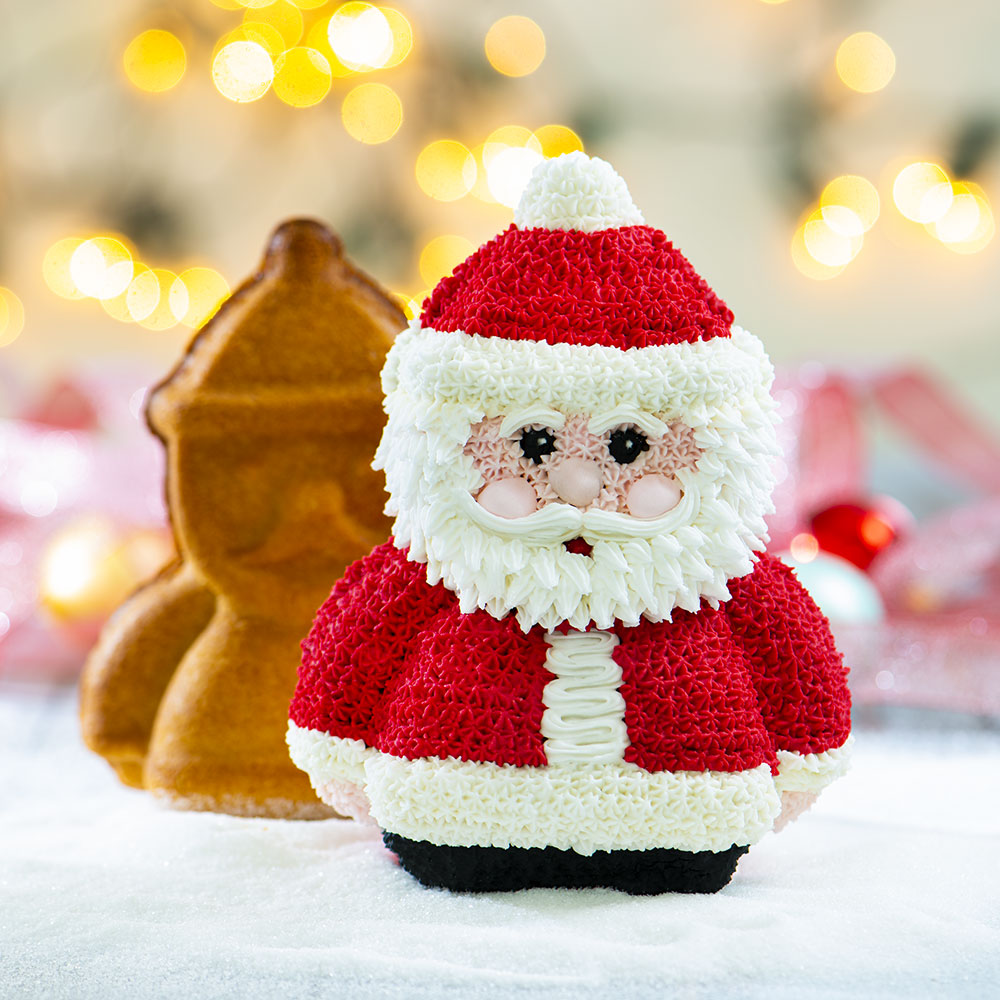 3D BACKFORM SANTA CLAUS