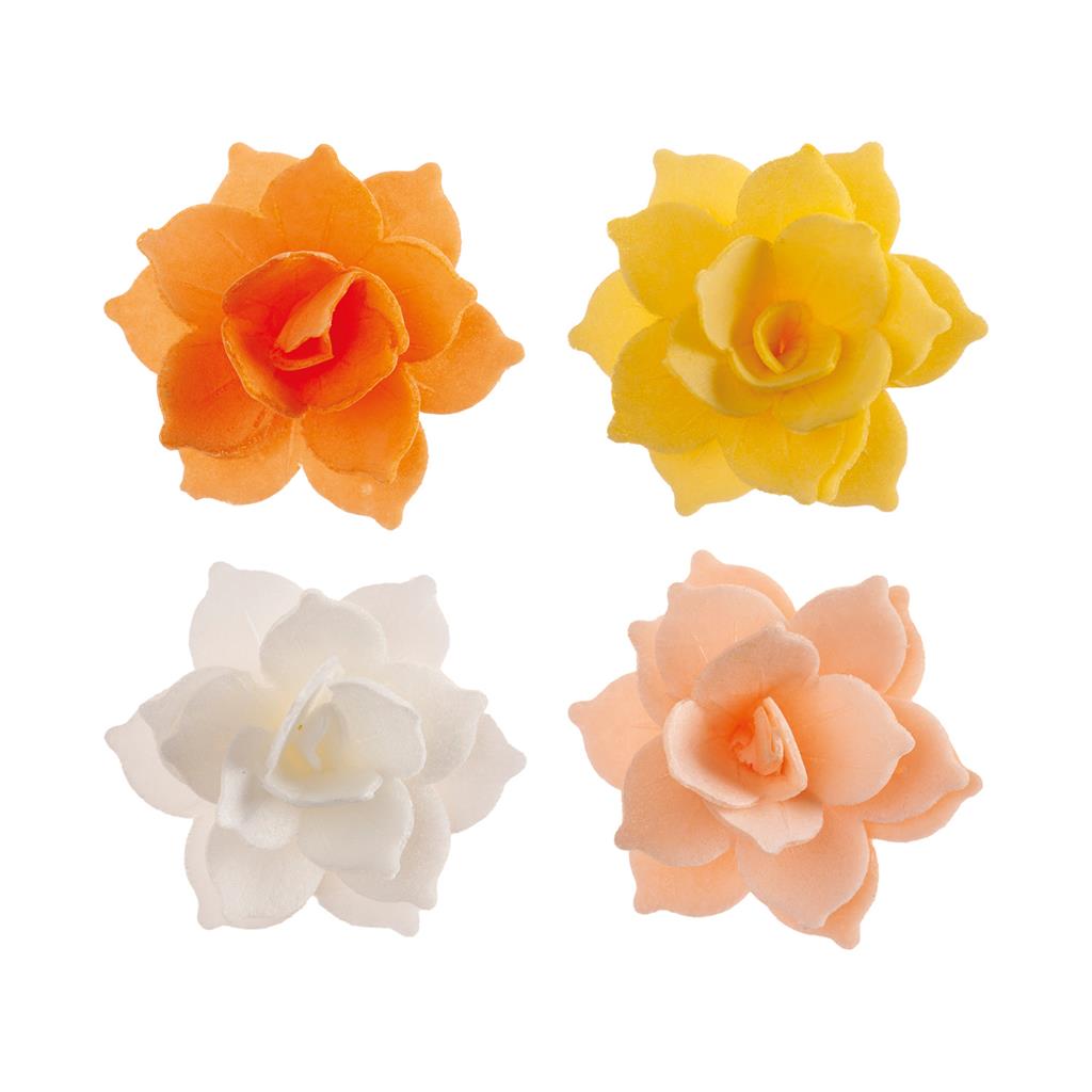 OBLATEN WATER LILY ORANGE