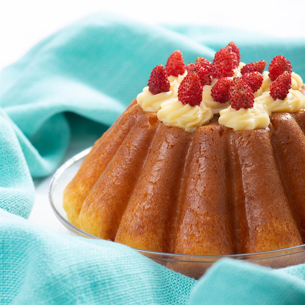 BACKFORM BABA 24 X 8 CM