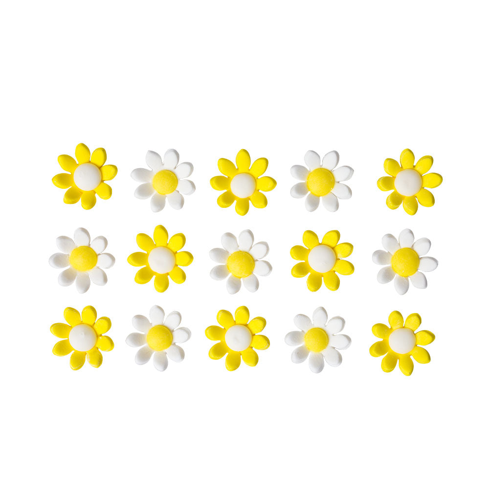 15 ZUCKER GÄNSEBLÜMCHEN