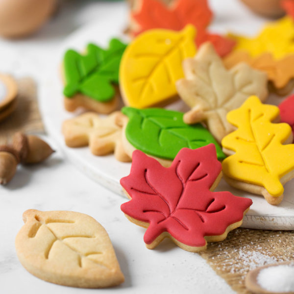 AUSSTECHER SET HERBST