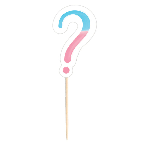 GENDER REVEAL PAPER PICKS 24 STÜCK 8,8 CM